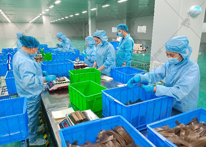 河南丽星苕皮鲜粉加工设备工艺性能介绍