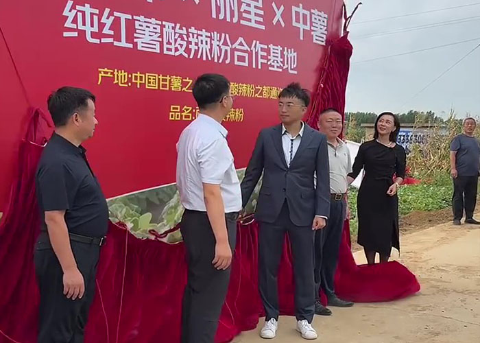从红薯源头到健康粉丝：丽星以设备硬实力助力三方合作