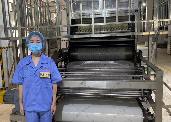 丽星机械粉条机生产天然无添加粉条 丽星机械粉条机生产天然无添加粉条